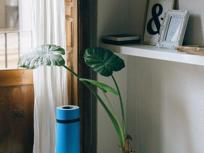 A rolled-up yoga mat next to a small decorative plant.